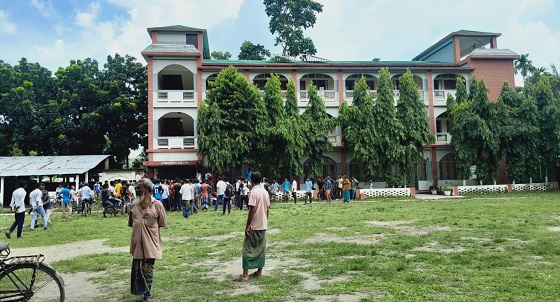 image-here